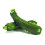 Everything You Need To Know About Zucchini