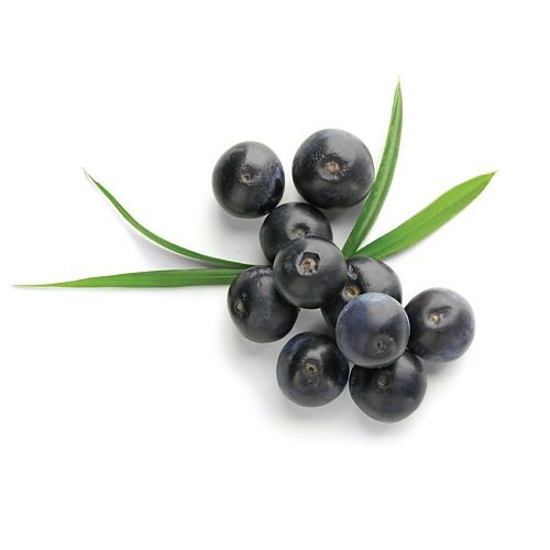 Acai Berry Diet Review