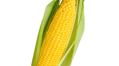 Everything You Need To Know About Corn