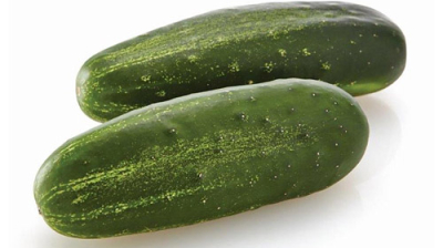 Everything You Need To Know About Cucumbers