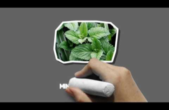 Weight Loss Tip #28: Brush Your Teeth