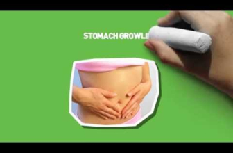 Weight Loss Tip #11 Eat When Stomach Is Growling