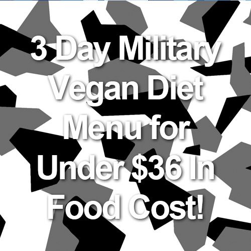 3 Day Military Vegan Diet Menu for Under $36 In Food Cost!