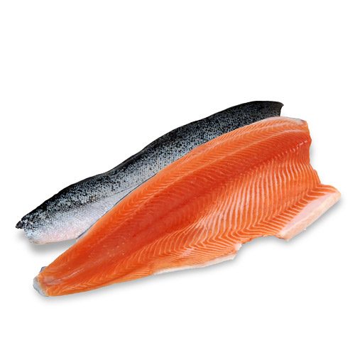 Everything You Need To Know About Salmon