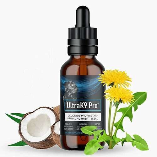 Ultra K9 Pro Review
