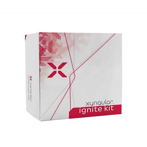 Xyngular Ignite Review